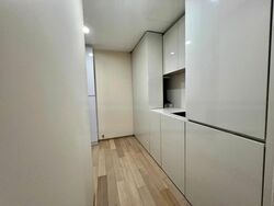 Skysuites@Anson (D2), Apartment #539874571